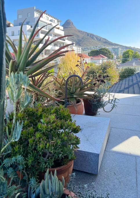 Oldfield House - Number 29 * Cape Town